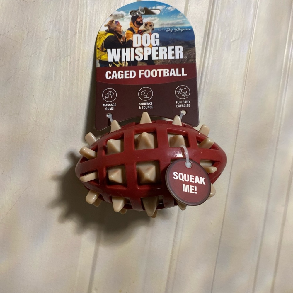 Dog Whisperer ~ Caged   Football Ball - Squeaky Dog Toy 5.5”
